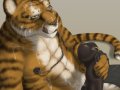 1322153393.rov_commission_sexytiger.jpg